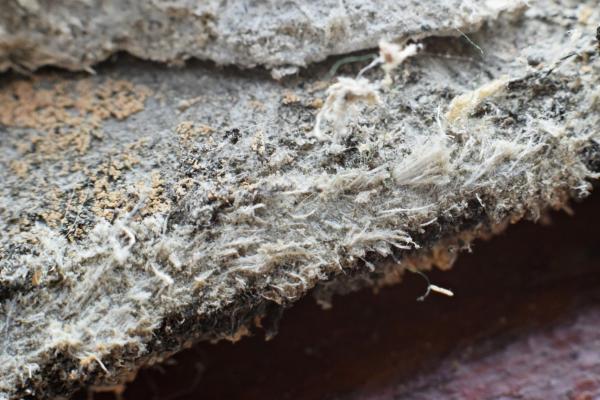 Asbestos Testing