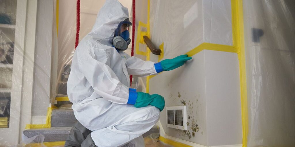 Black Mold Remediation Services