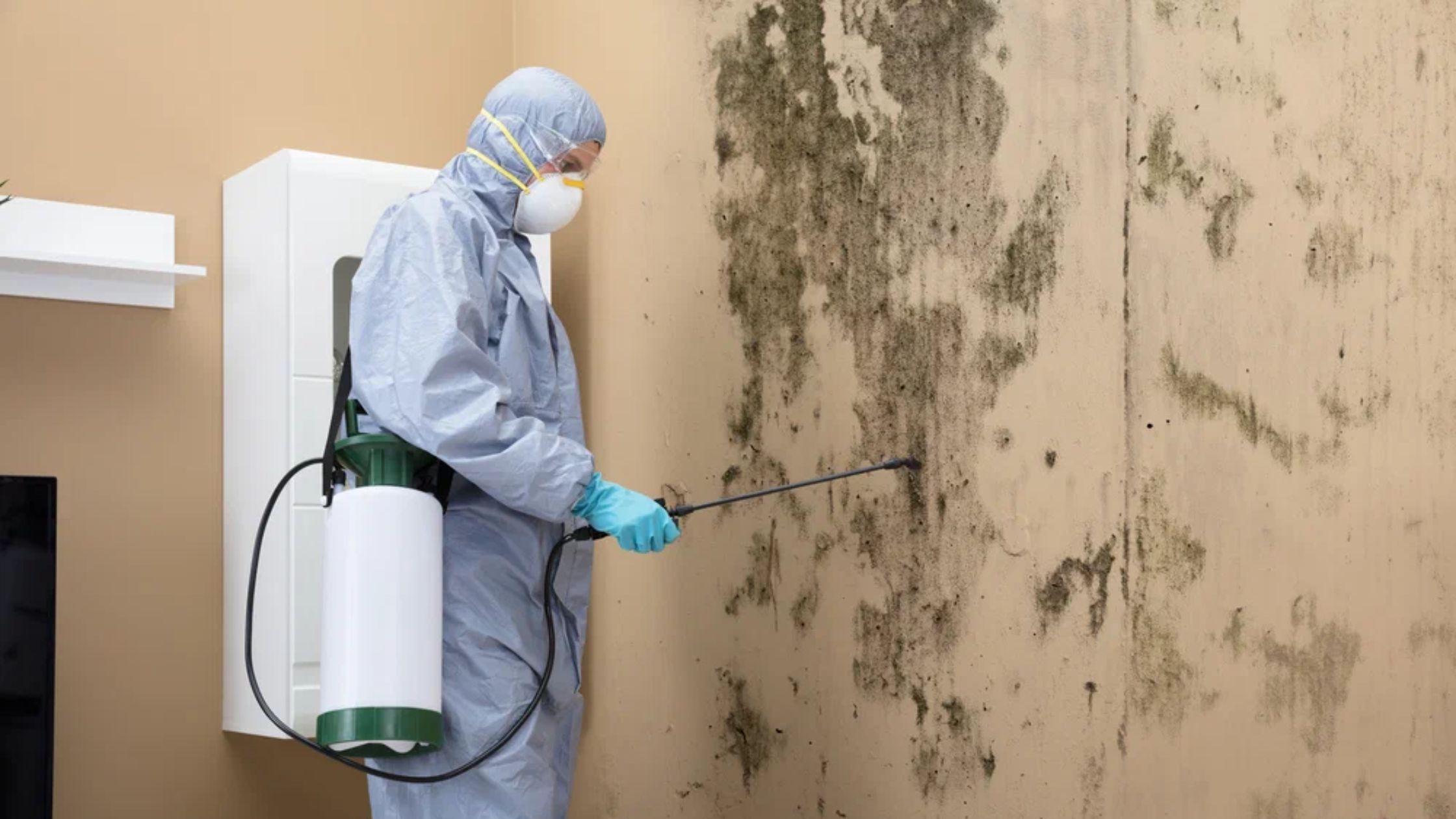 What Are the Health Risks of Leaving Mold Untreated in a Manitou Springs Home?